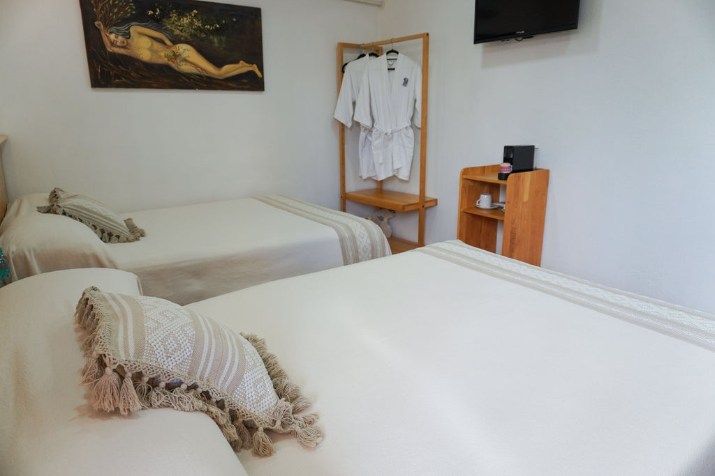 Habitación Don Nacho (2 camas)